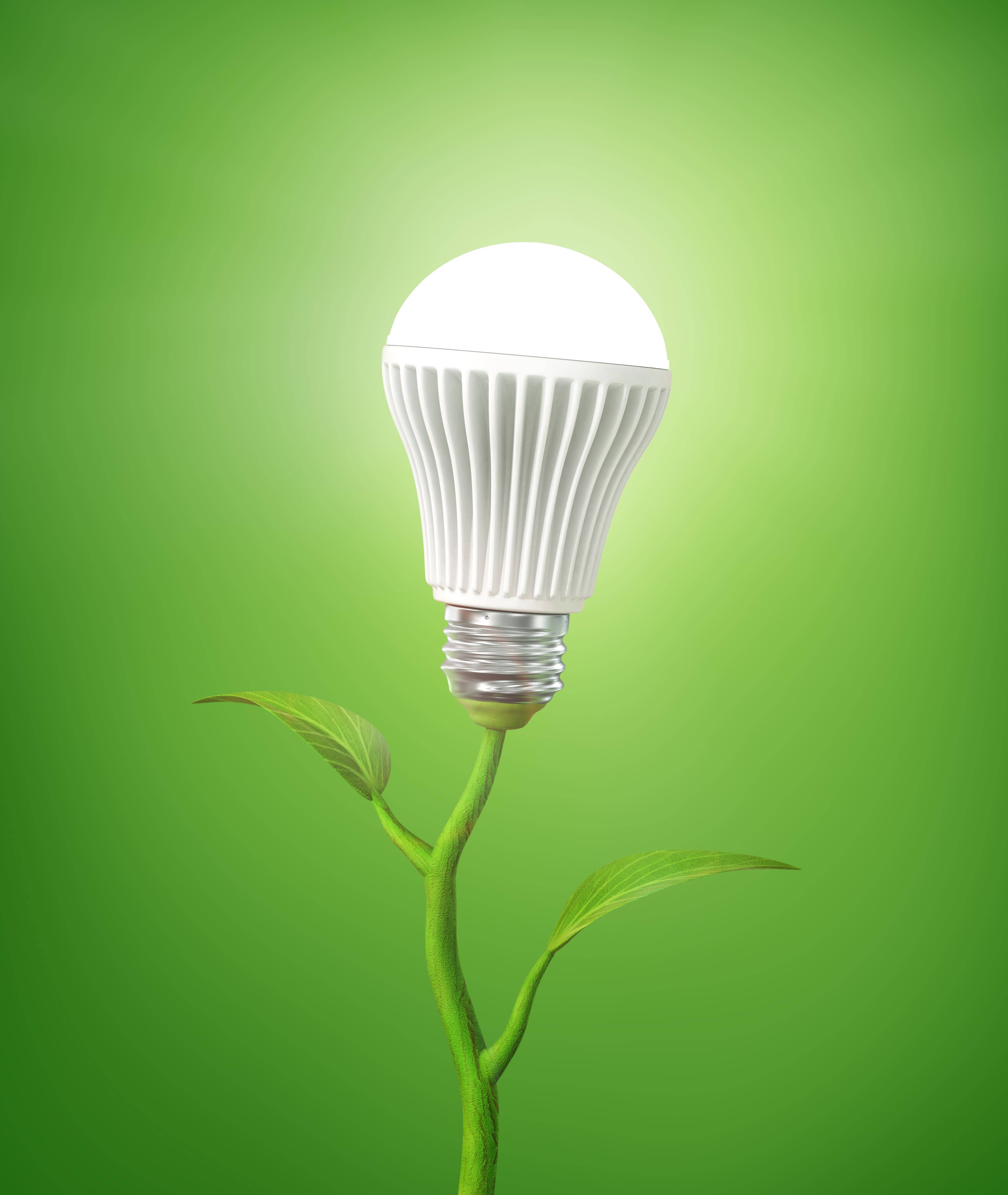 Why Halogen Bulbs Will be Phased Out This Year