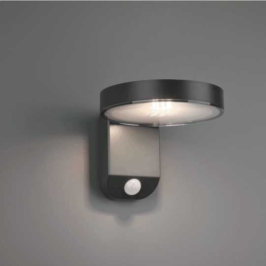 Trio Lighting Posadas LED Solar Wall Light