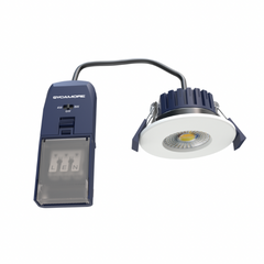 Riga Flex Switchable & Multi Wattage IP Fire Rated Downlight