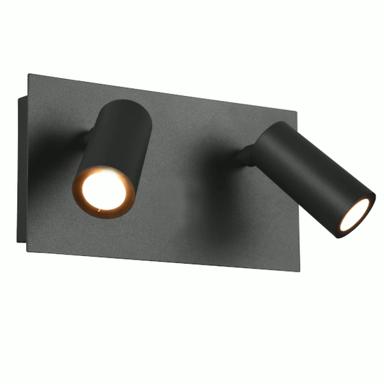 Tunga Double Adjustable LED Wall Light