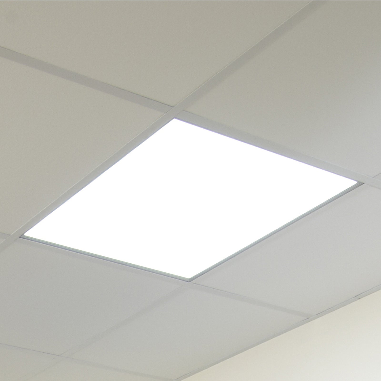 36 Watt LED Panel Light 600mm x 600mm | Light Supplier